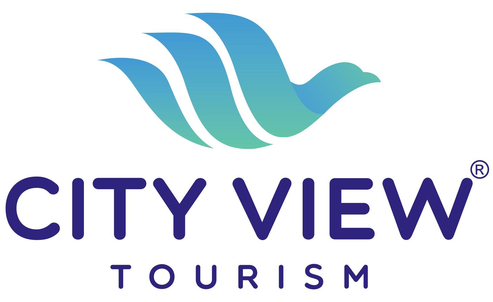 cityviewtourism.in
